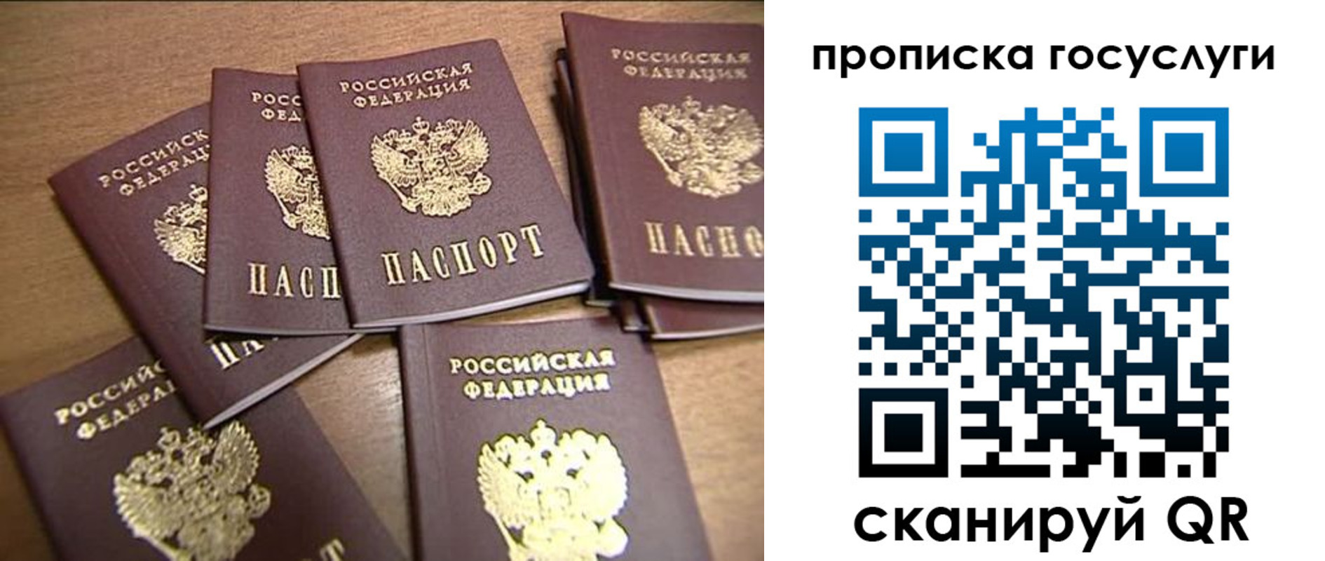 прописка ребенка в Ярославской области